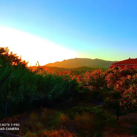 The View * زاخارو