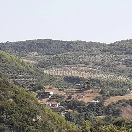 Appartement The View