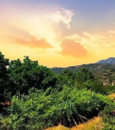 The View Appartement Zacharo