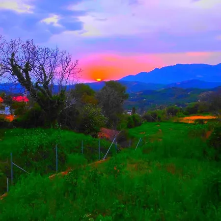 The View *
