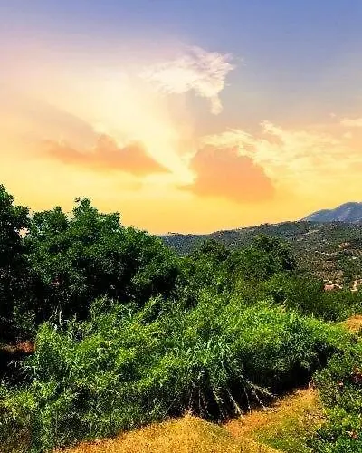 The View Apartamento Zacharo